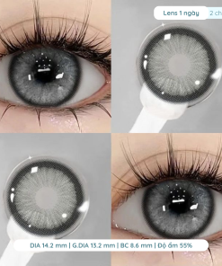 Alternative view of Lens cấp ẩm giãn tròng 14.2mm màu FUJI GRAY 6 tháng DEWYEYES