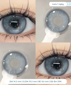 Alternative view of Lens cấp ẩm giãn tròng 14.2mm màu Busan 6 tháng DEWYEYES