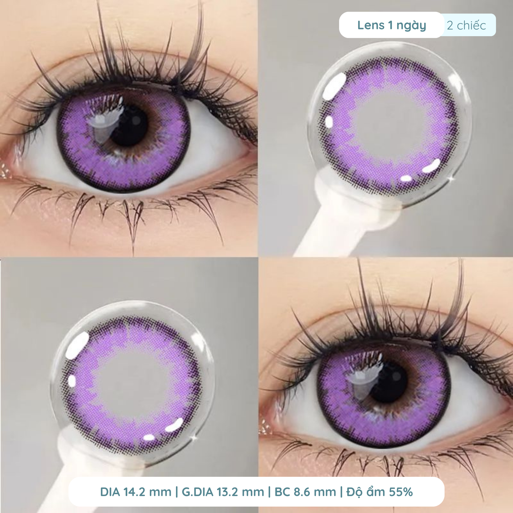 Lens cosplay giãn tròng to 14.2mm màu Bloom Purple 1 ngày DEWEYES - Ảnh 2