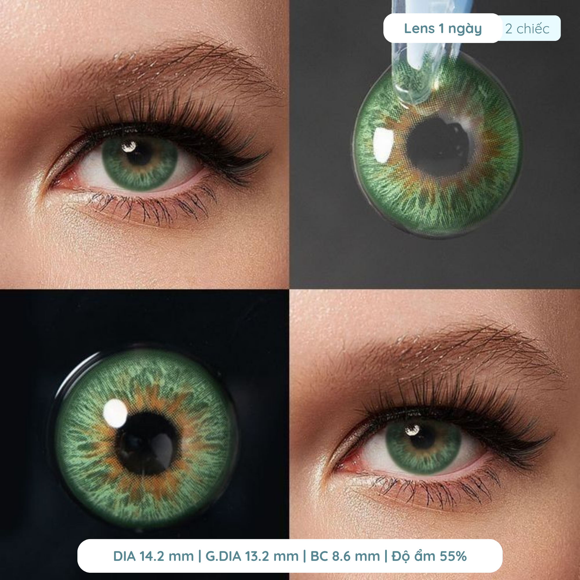 Lens giãn tròng to 14.5mm màu xanh lá 1 năm DEWYEYES - Ảnh 2