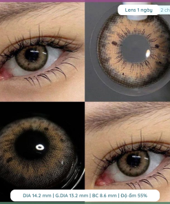 Alternative view of Lens cấp ẩm giãn tròng 14.2mm màu Choco Brown 6 tháng DEWYEYES