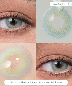 Alternative view of Lens giãn tròng to 14.5mm màu Olive 1 năm Dewyeyes