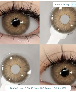 Alternative view of Lens giãn tròng to 14.5mm màu Nâu Trầm và Nâu Tây 1 ngày DEWEYES