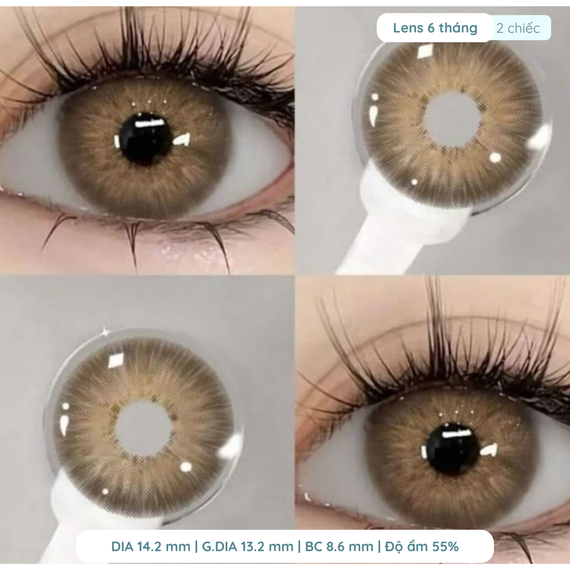 Lens giãn tròng to 14.5mm màu Nâu Trầm và Nâu Tây 1 ngày DEWEYES - Ảnh 2