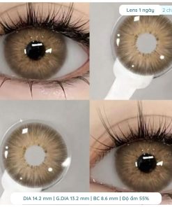Alternative view of Lens giãn tròng to 14.2mm màu Vintage brown/Vintage gray 1 ngày Dewyeyes