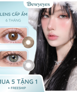 Lens cấp ẩm giãn tròng 14.2mm màu FUJI GRAY 6 tháng DEWYEYES