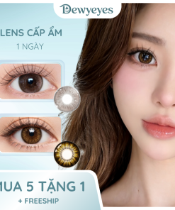 Lens giãn tròng to 14.2mm màu Vintage brown/Vintage gray 1 ngày Dewyeyes