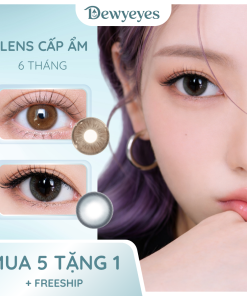 Lens cấp ẩm giãn tròng 14.2mm màu Busan 6 tháng DEWYEYES