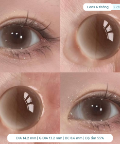 Alternative view of Lens giãn tròng to 14.5mm màu Nâu Tây và Nâu Xám Tro 1 ngày DEWEYES