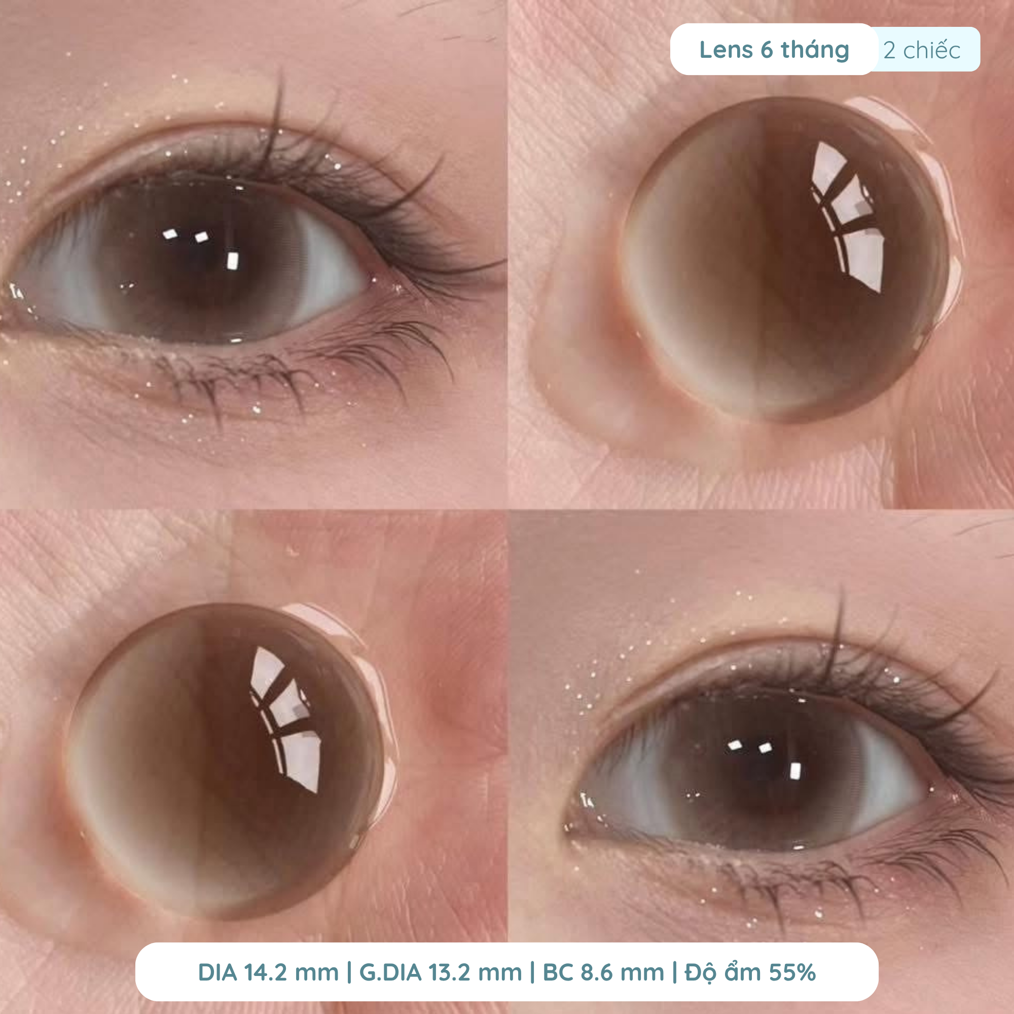 Lens giãn tròng to 14.5mm màu Nâu Tây và Nâu Xám Tro 1 ngày DEWEYES - Ảnh 2